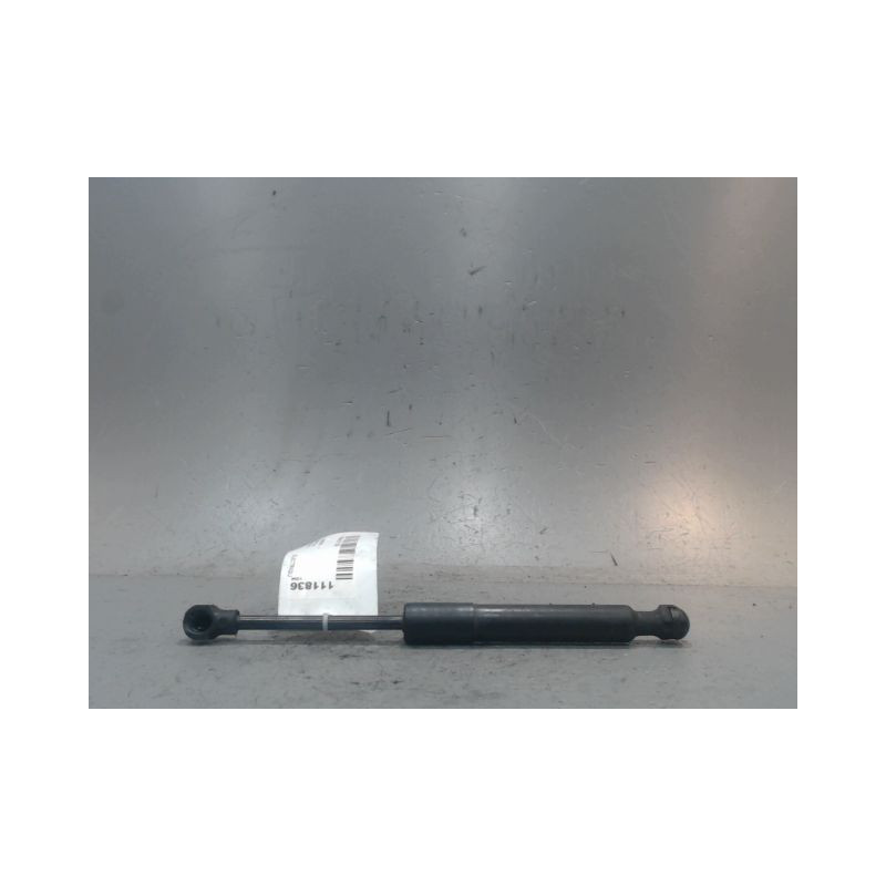 VERIN CAPOT D RENAULT ZOE