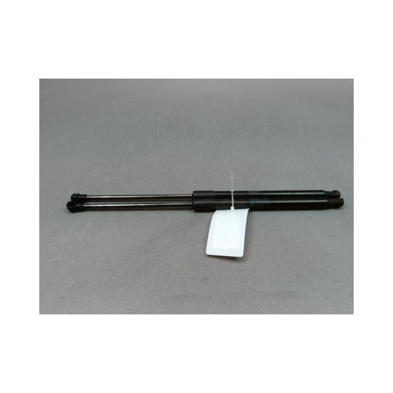 VERIN HAYON G RENAULT CLIO III Phase 2 2009-2014