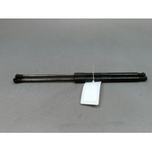 VERIN HAYON G RENAULT CLIO III Phase 2 2009-2014