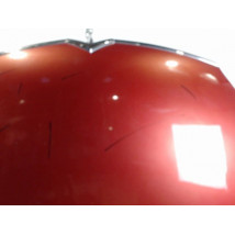 CAPOT CITROEN C4 PICASSO