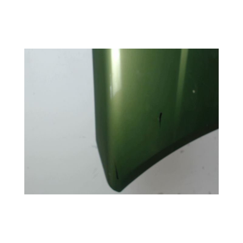 CAPOT CITROEN C2 2003-