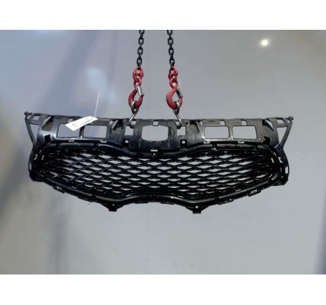 GRILLE CALANDRE