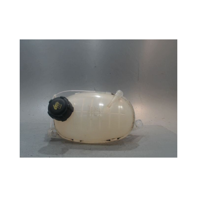 VASE EXPANSION DACIA DUSTER