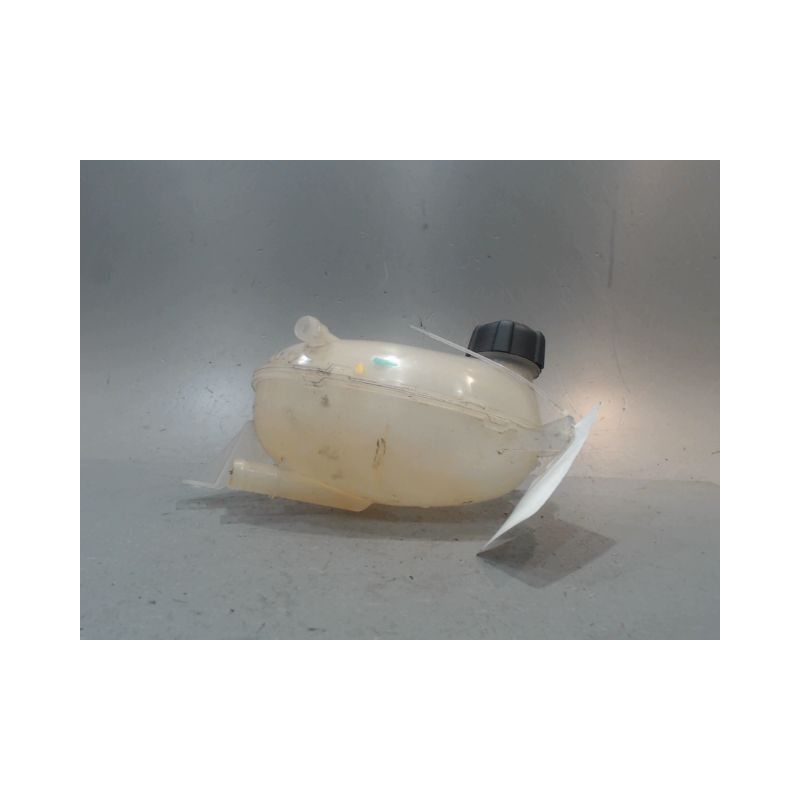 VASE EXPANSION DACIA DUSTER