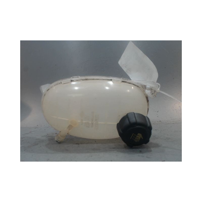 VASE EXPANSION DACIA DUSTER