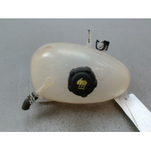VASE EXPANSION RENAULT TWINGO