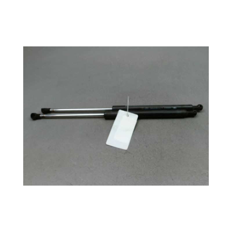 VERIN HAYON G RENAULT CLIO III Phase 1 2005-2009