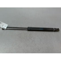 VERIN HAYON G CITROEN C4 CACTUS