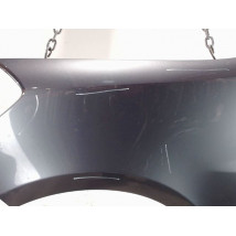 AILE AVANT GAUCHE RENAULT CLIO III 2009-