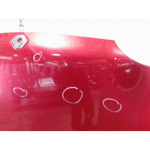 CAPOT RENAULT TWINGO PH.3 2000-2007