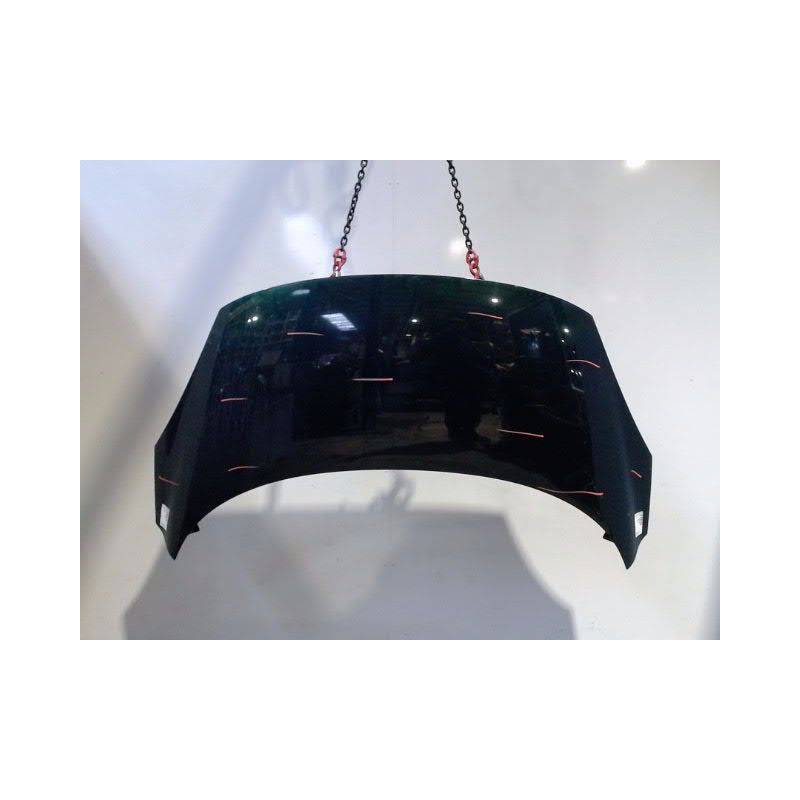 CAPOT RENAULT SCENIC II PH2 2006-