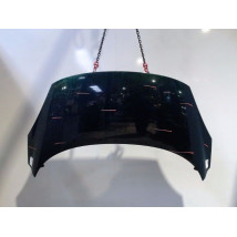 CAPOT RENAULT SCENIC II PH2 2006-