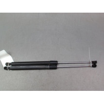 VERIN HAYON G RENAULT CLIO III Phase 2 2009-2014