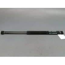 VERIN HAYON G RENAULT MEGANE SCENIC MONOSP. I Phase 2 1999-2003