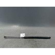 VERIN HAYON G RENAULT SCENIC