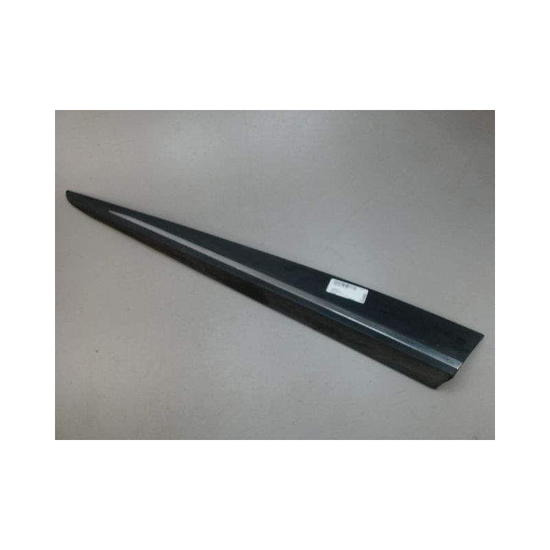 PROTECTION PORTE AVANT GAUCHE RENAULT CLIO