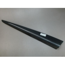 PROTECTION PORTE AVANT GAUCHE RENAULT CLIO