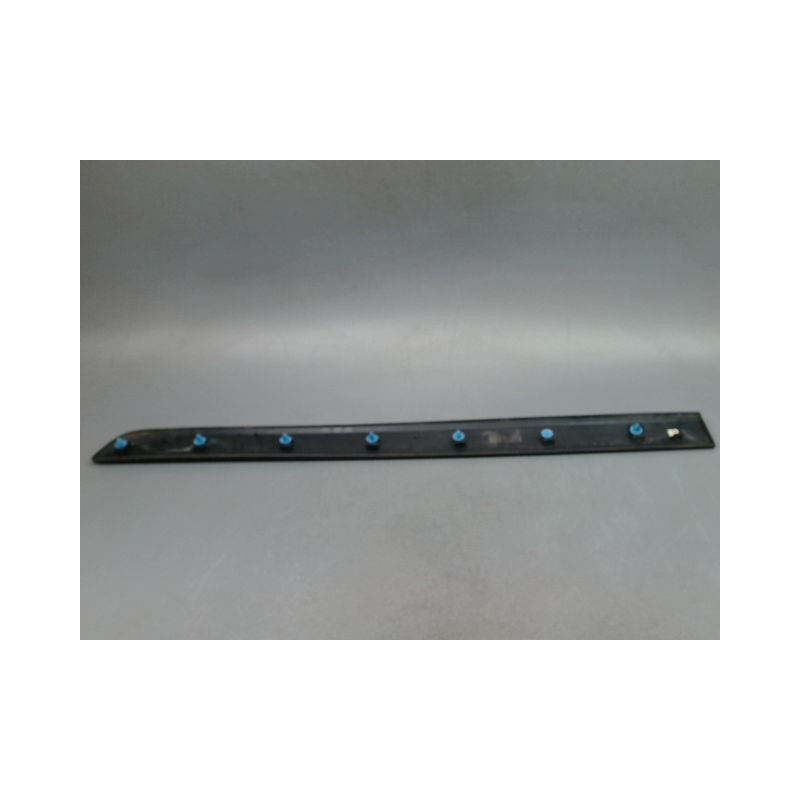 PROTECTION PORTE AVANT GAUCHE RENAULT KANGOO EXPRESS II Phase 2 2013-...