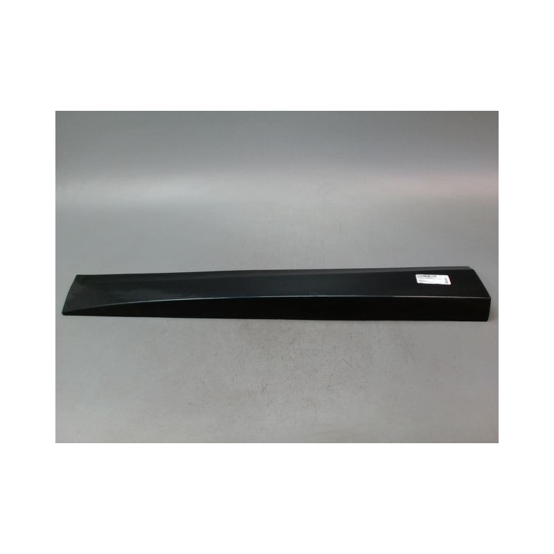 PROTECTION PORTE AVANT GAUCHE RENAULT SCENIC MONOSP. III Phase 1 2009-2011