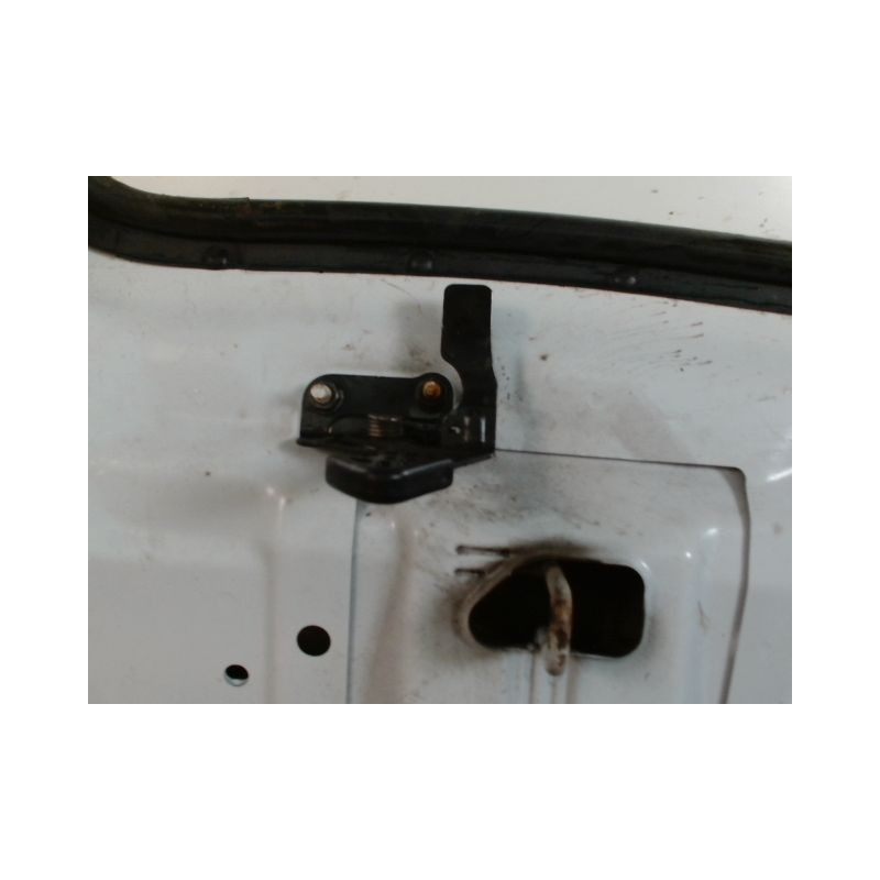 CAPOT NISSAN LEAF