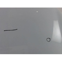 CAPOT RENAULT CLIO