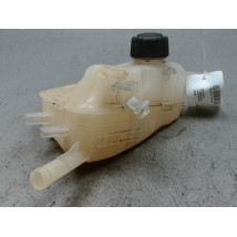 VASE EXPANSION RENAULT MEGANE