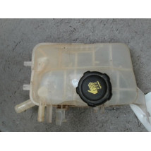VASE EXPANSION RENAULT MEGANE