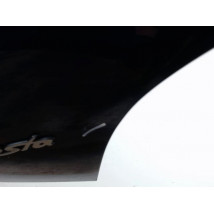 HAYON FORD FIESTA 95-9.99