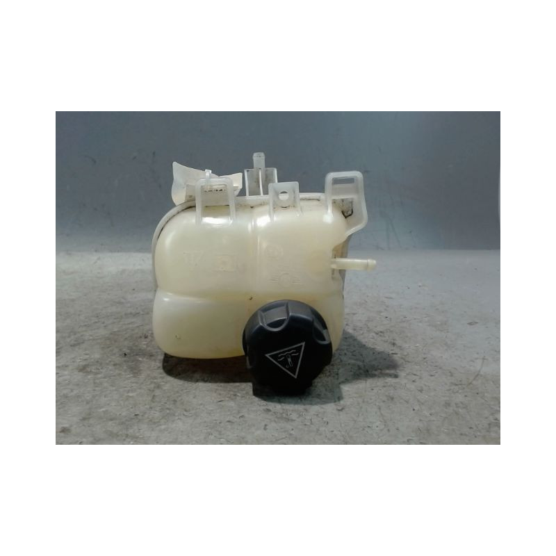 VASE EXPANSION MINI MINI 2010-
