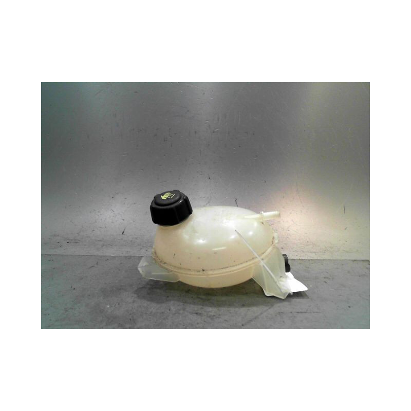 VASE EXPANSION RENAULT CLIO