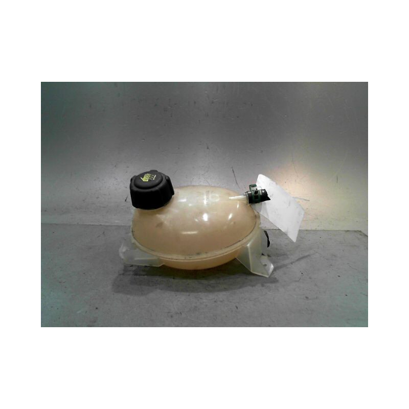 VASE EXPANSION DACIA SANDERO