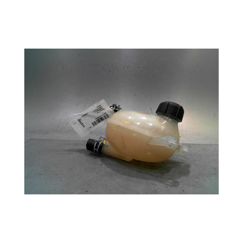 VASE EXPANSION DACIA SANDERO