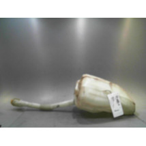 RESERVOIR LAVE-GLACE AVANT RENAULT MEGANE