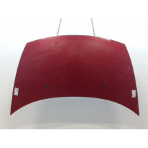 CAPOT CITROEN C3 I Phase 1 2002-2005