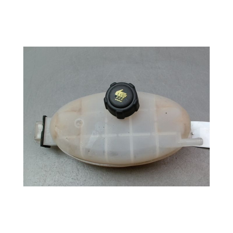 VASE EXPANSION RENAULT TRAFIC FG L1H1 II Phase 2 -1000- CRT 2006-...