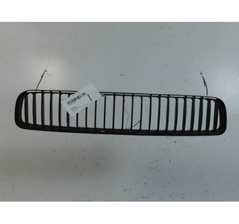 GRILLE PARE-CHOC AV