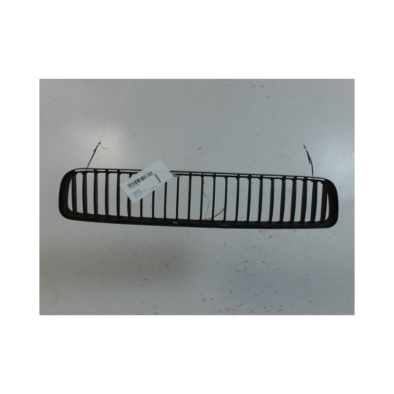 GRILLE PARE-CHOC AVANT SKODA FABIA