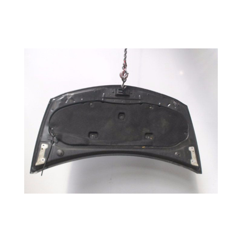 CAPOT RENAULT CLIO III 2005-