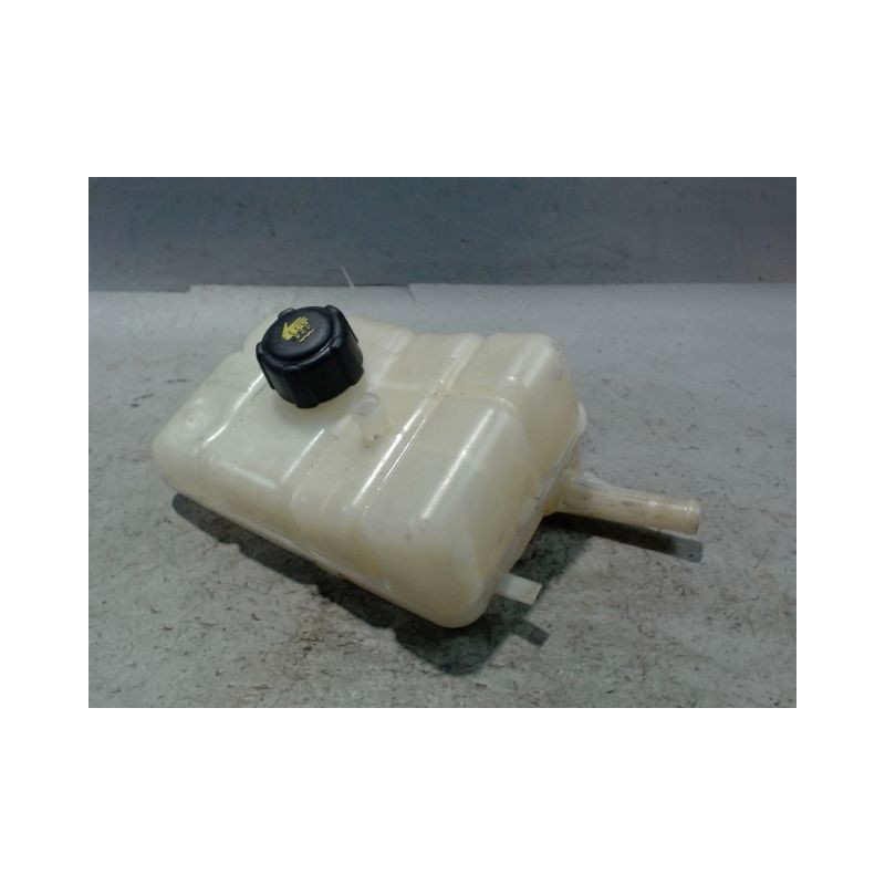 VASE EXPANSION RENAULT MEGANE