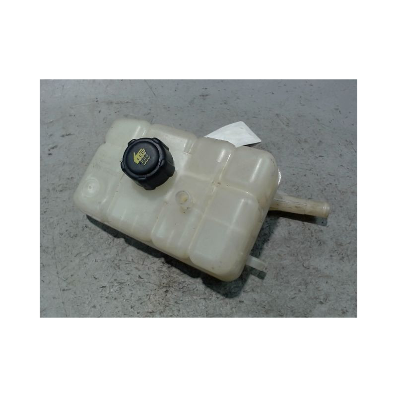 VASE EXPANSION RENAULT MEGANE
