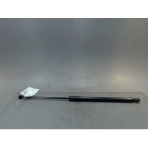 VERIN HAYON D RENAULT CLIO