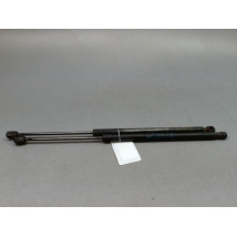 VERIN HAYON G RENAULT SCENIC MONOSP. II Phase 2 2006-2009
