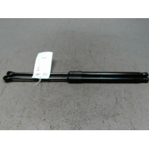 VERIN HAYON G RENAULT CAPTUR