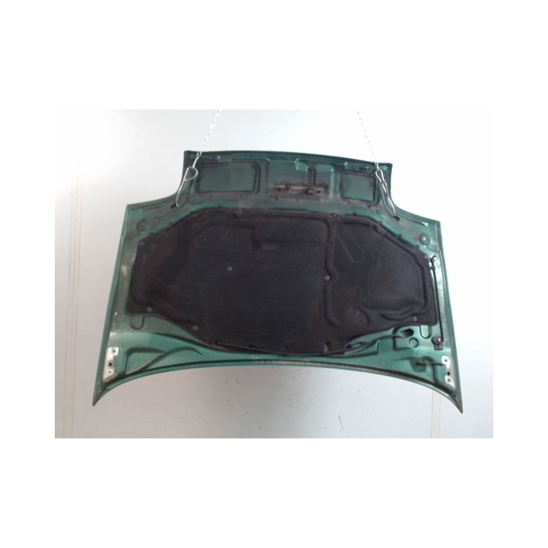 CAPOT RENAULT CLIO