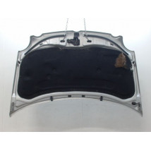 CAPOT VOLKSWAGEN POLO IV Phase 1 (9N) 2002-2005