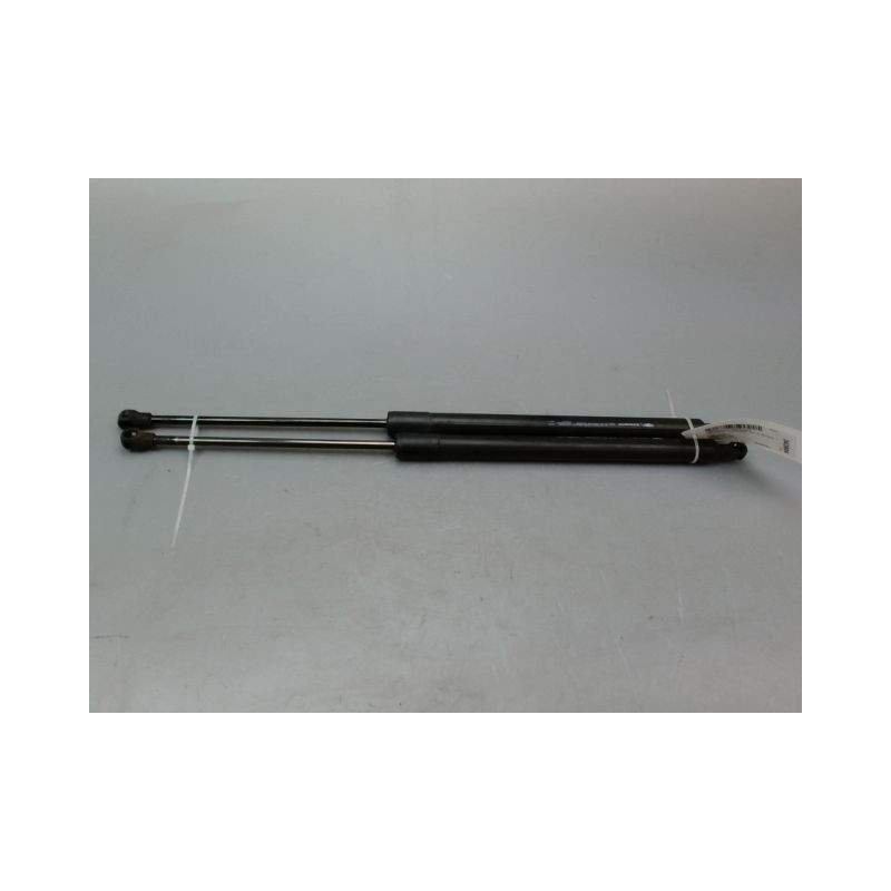 VERIN HAYON G RENAULT SCENIC MONOSP. III Phase 1 2009-2011