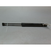 VERIN HAYON G RENAULT SCENIC MONOSP. III Phase 1 2009-2011