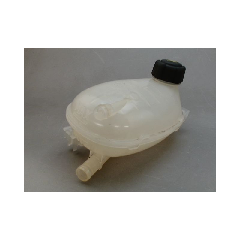 VASE EXPANSION RENAULT CLIO