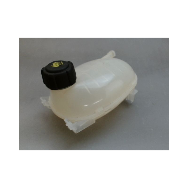 VASE EXPANSION RENAULT CLIO