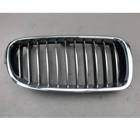 GRILLE CALANDRE D